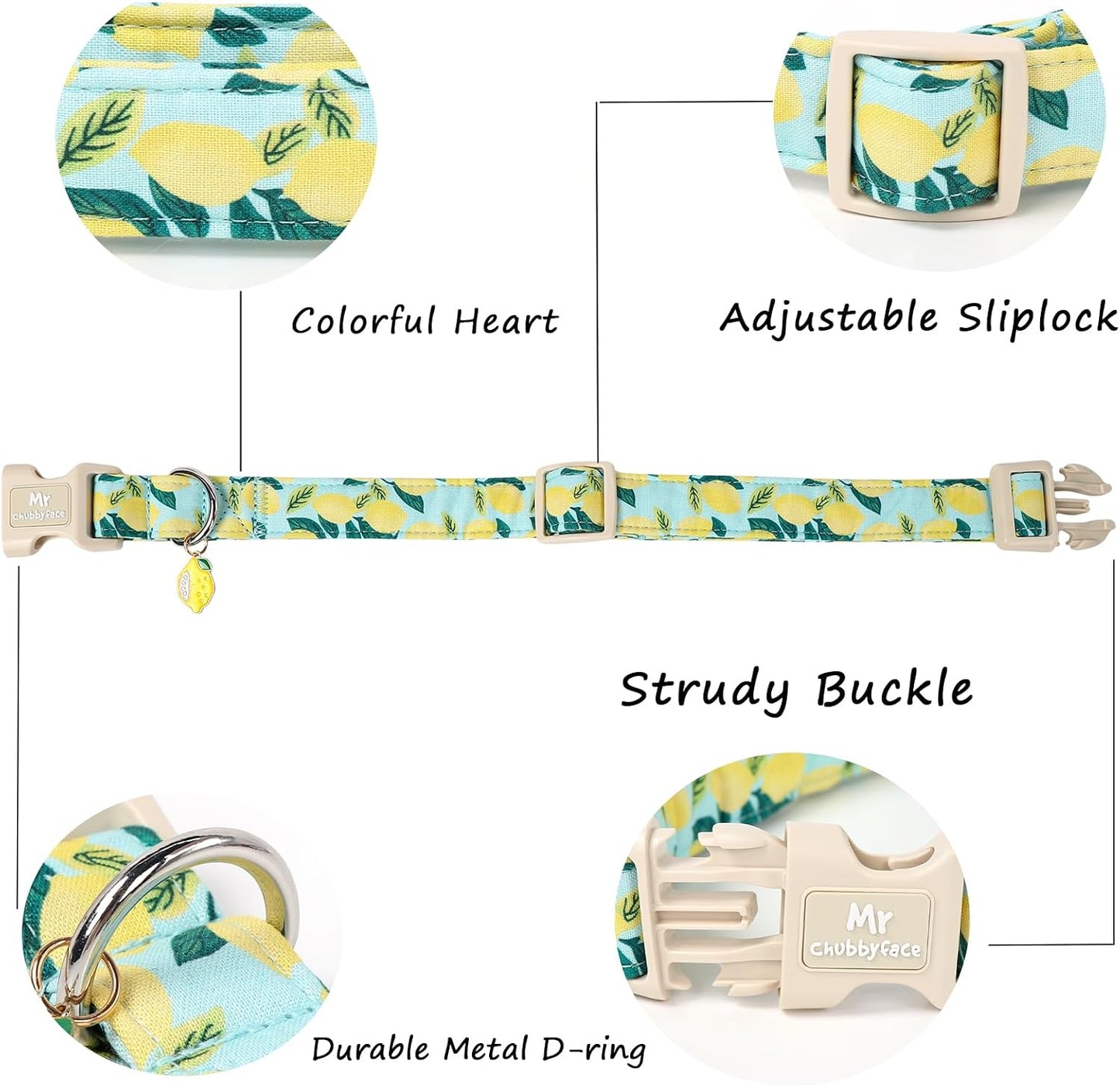 Collar perro verano ligero ajustable con hebilla plástico