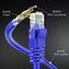Cable Ethernet Cat6 50ft UTP cobre puro azul