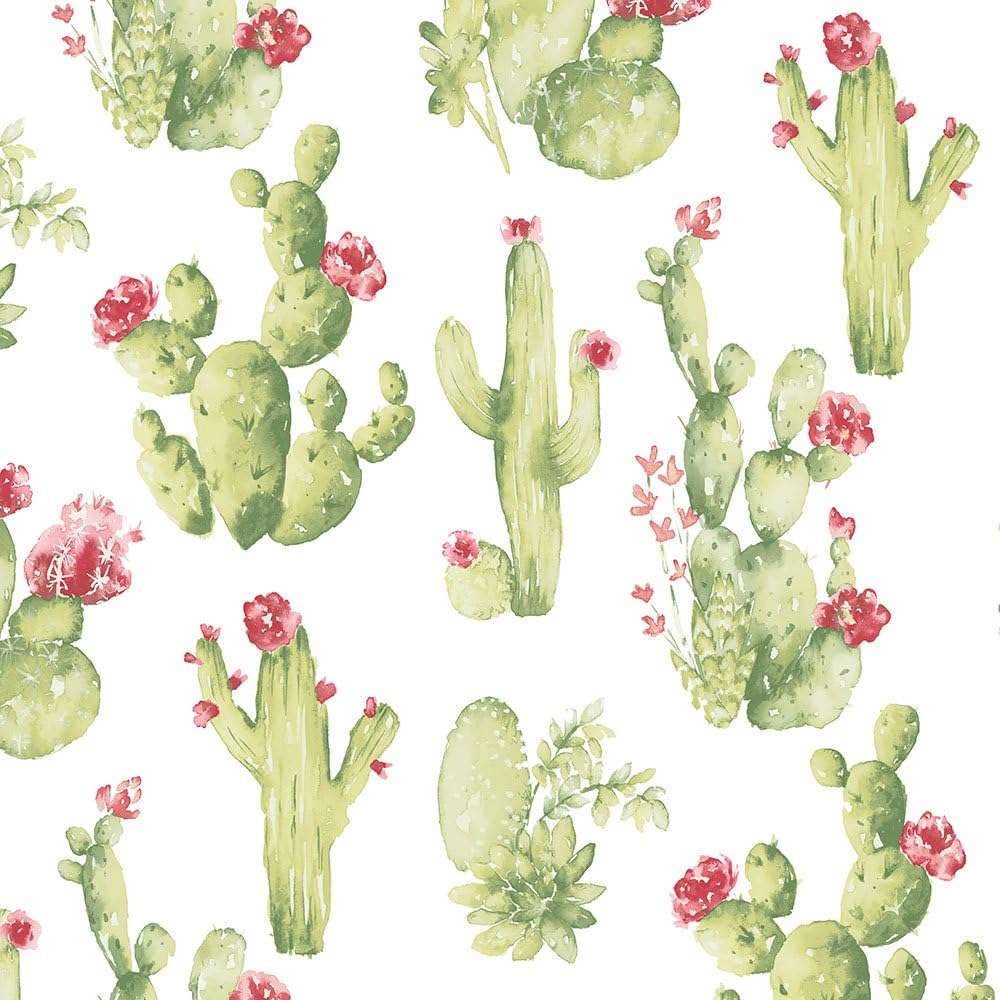 Papel pintado cactus ck36630 prepegado