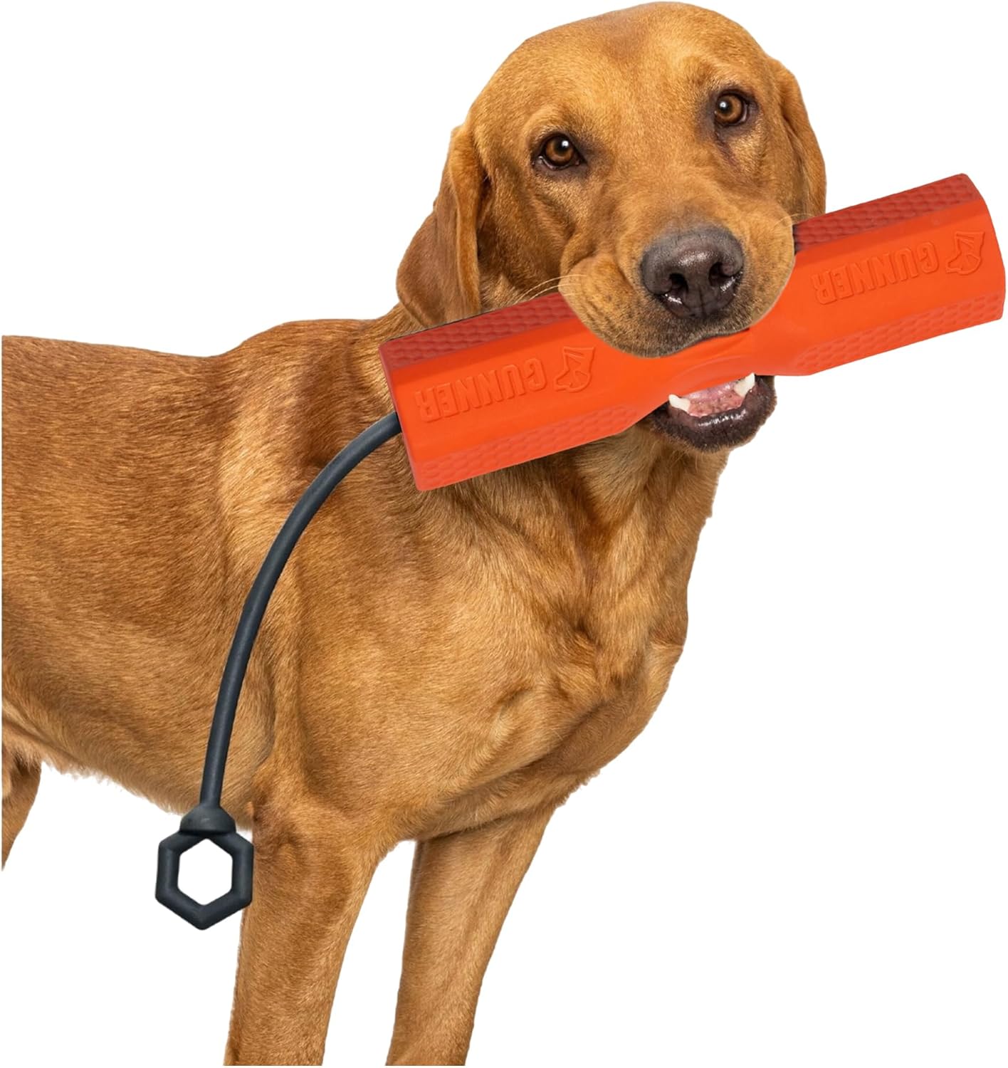 Parachoques entrenamiento perro cuerda ajustable naranja