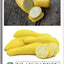 Semillas calabaza verano cuello recto amarillo prolífico 50+ pzas