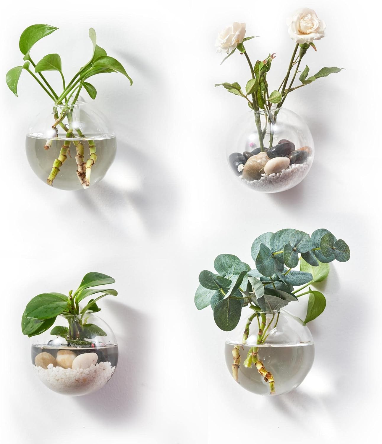 Macetas colgantes terrario vidrio para plantas
