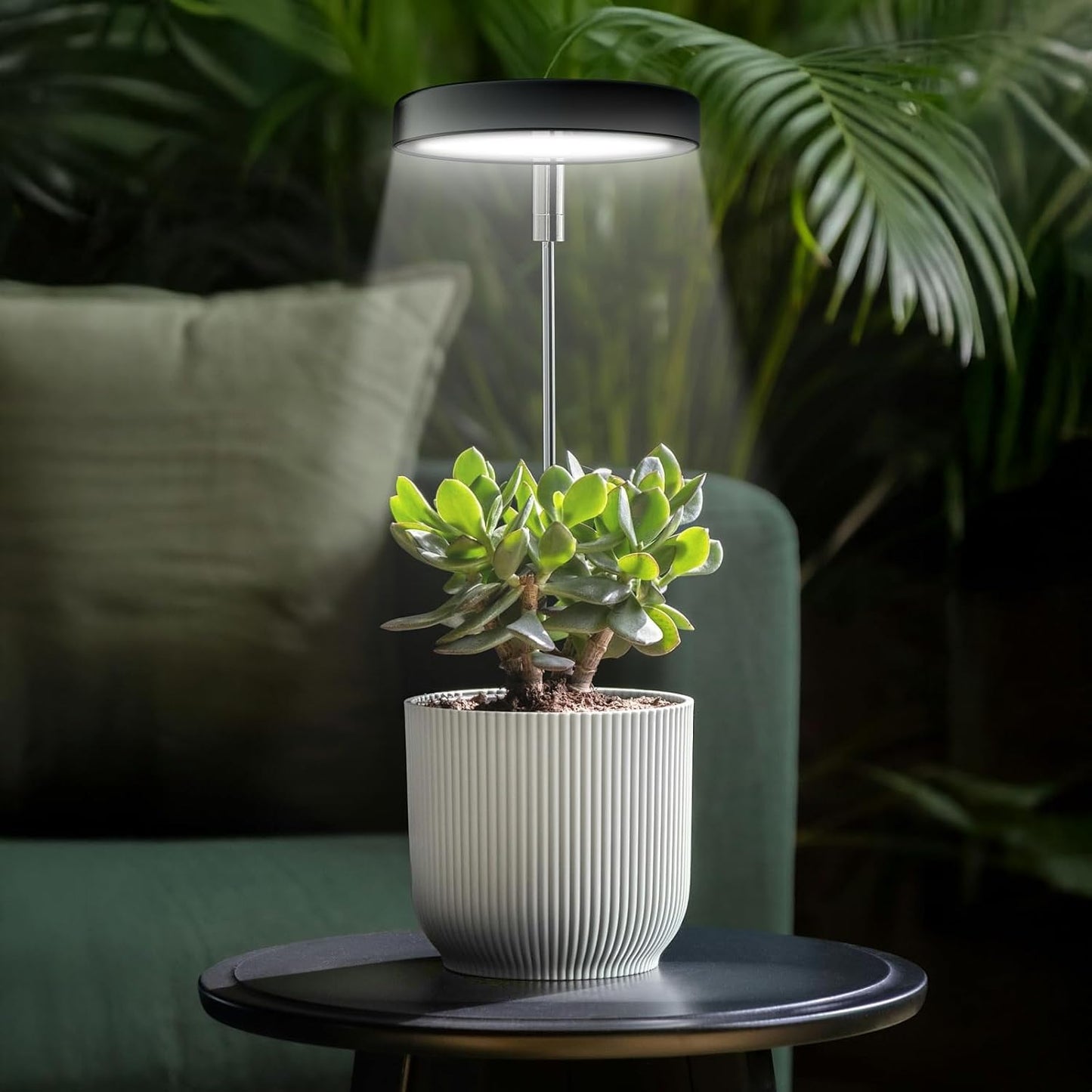 Luz cultivo interior maceta espectro completo 3/9/12h