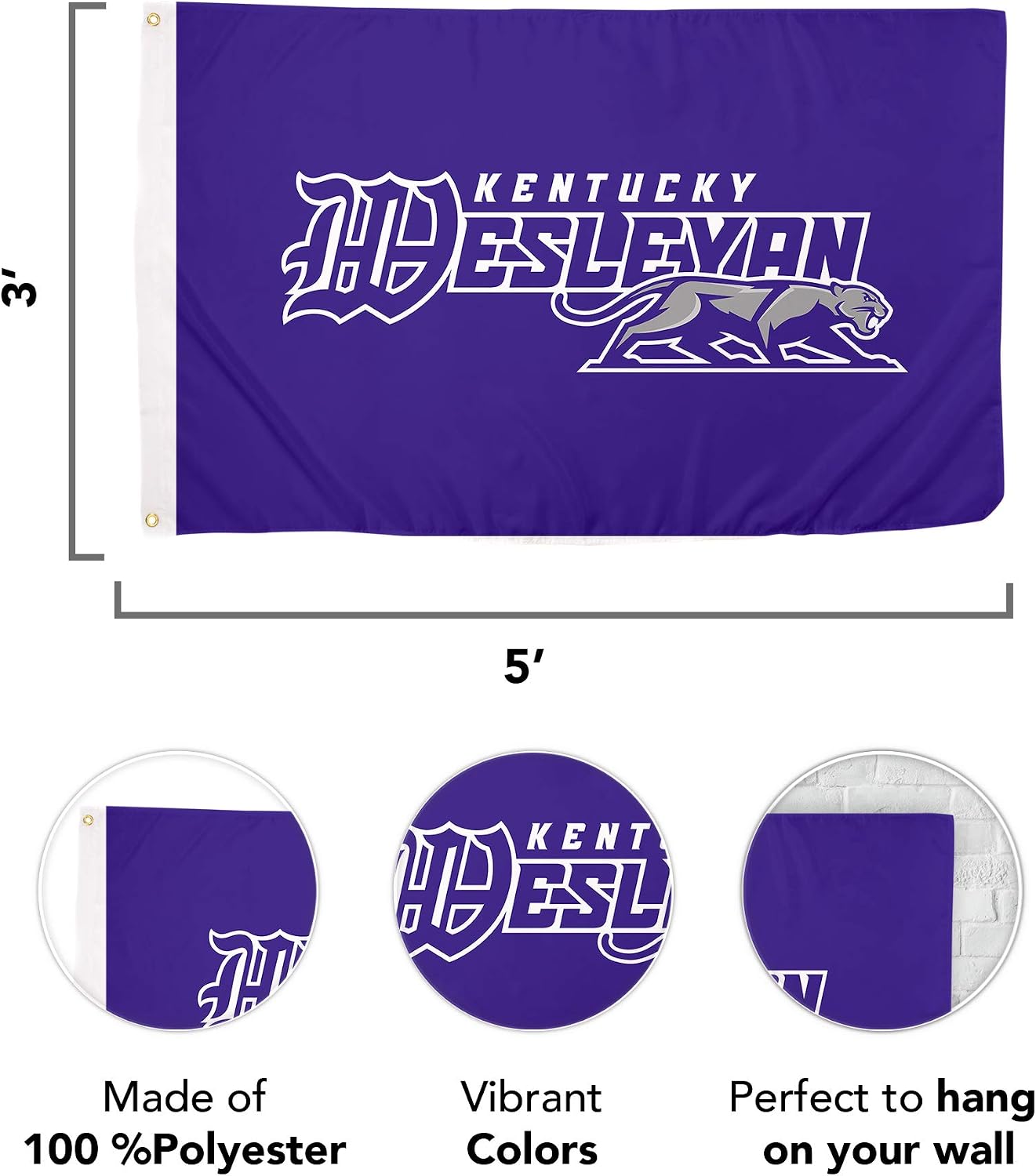 Bandera Panthers 3x5ft 100% poliéster interiores exteriores