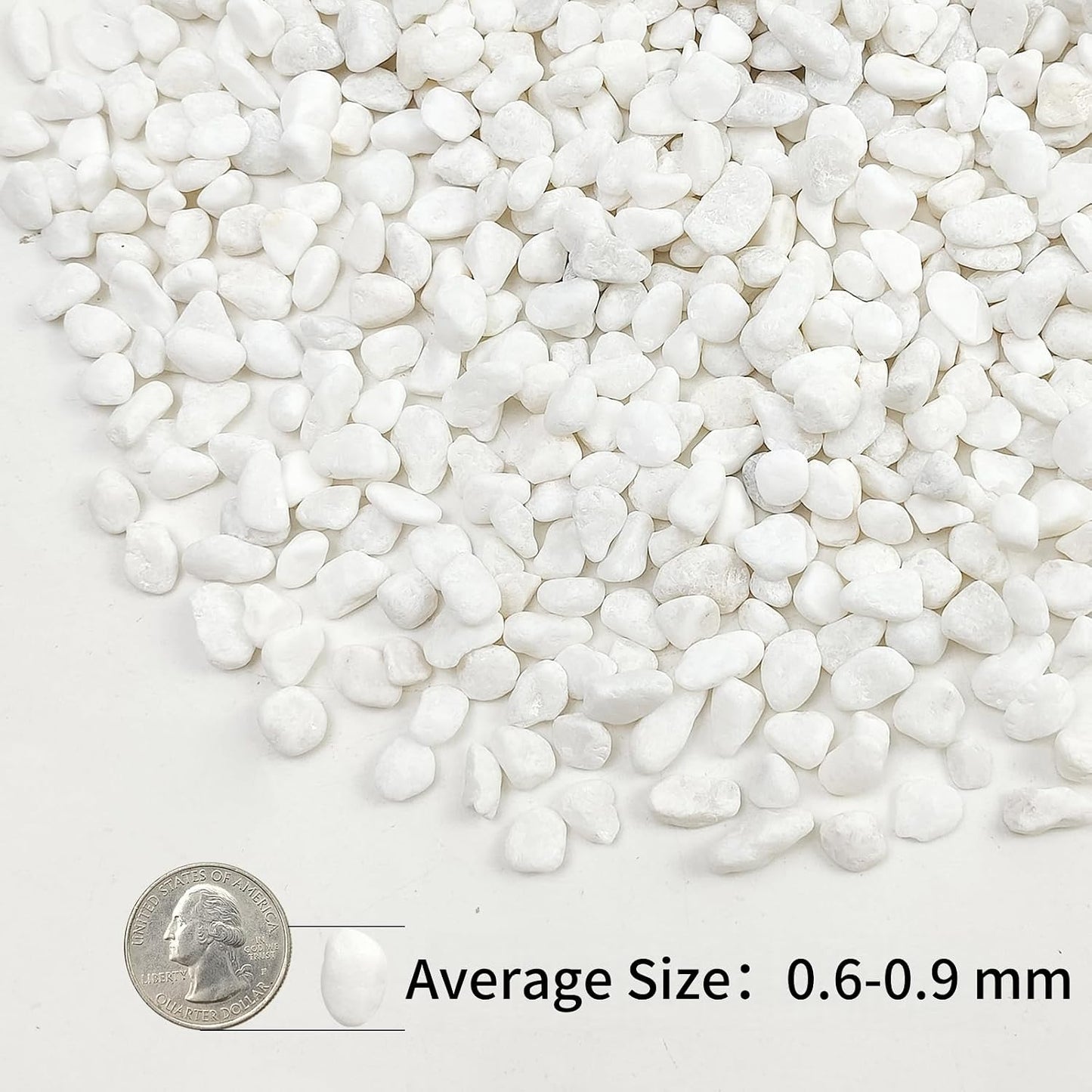 2 lb guijarros blancos para suculentas y cactus 3/8pulg