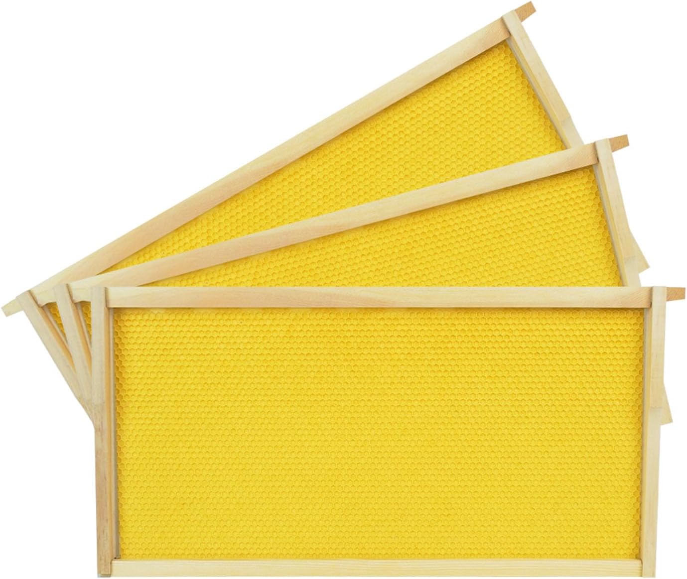 Marcos colmena profunda con base cera 10 Uds 9-1/8"