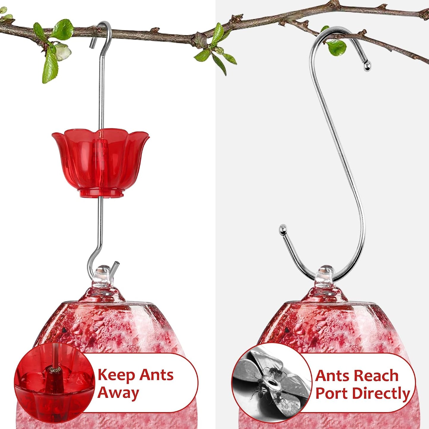 Foso hormigas para comedero colibríes 2oz forma flor roja