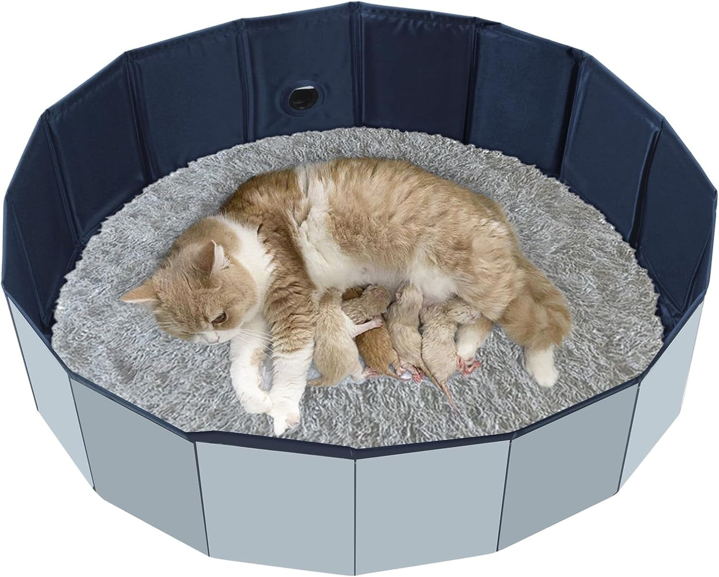 Caja parto gatos piscina plegable fácil limpieza
