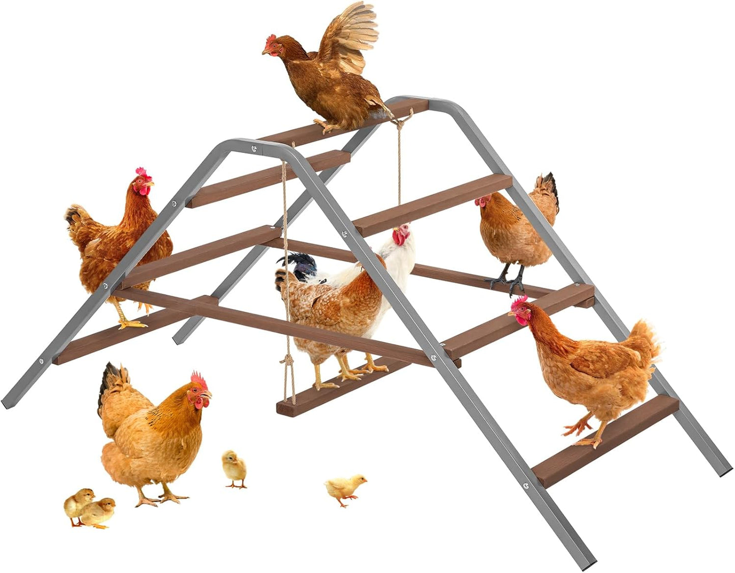 Barra anidamiento pollos madera hierro patio trasero