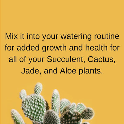 Alimento para cactus y suculentas 2-7-7 8oz