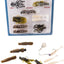 Kit pesca familiar plásticos blandos Live Flex