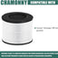 Filtro Airmega 100 3en1 H13 HEPA Coway 2uds