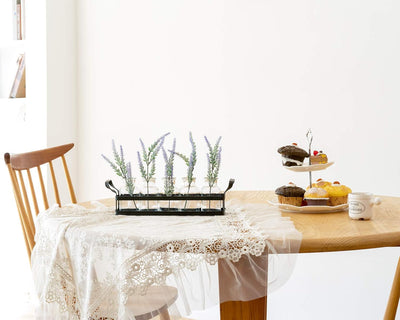 Soporte metal para terrario vidrio hidropónico