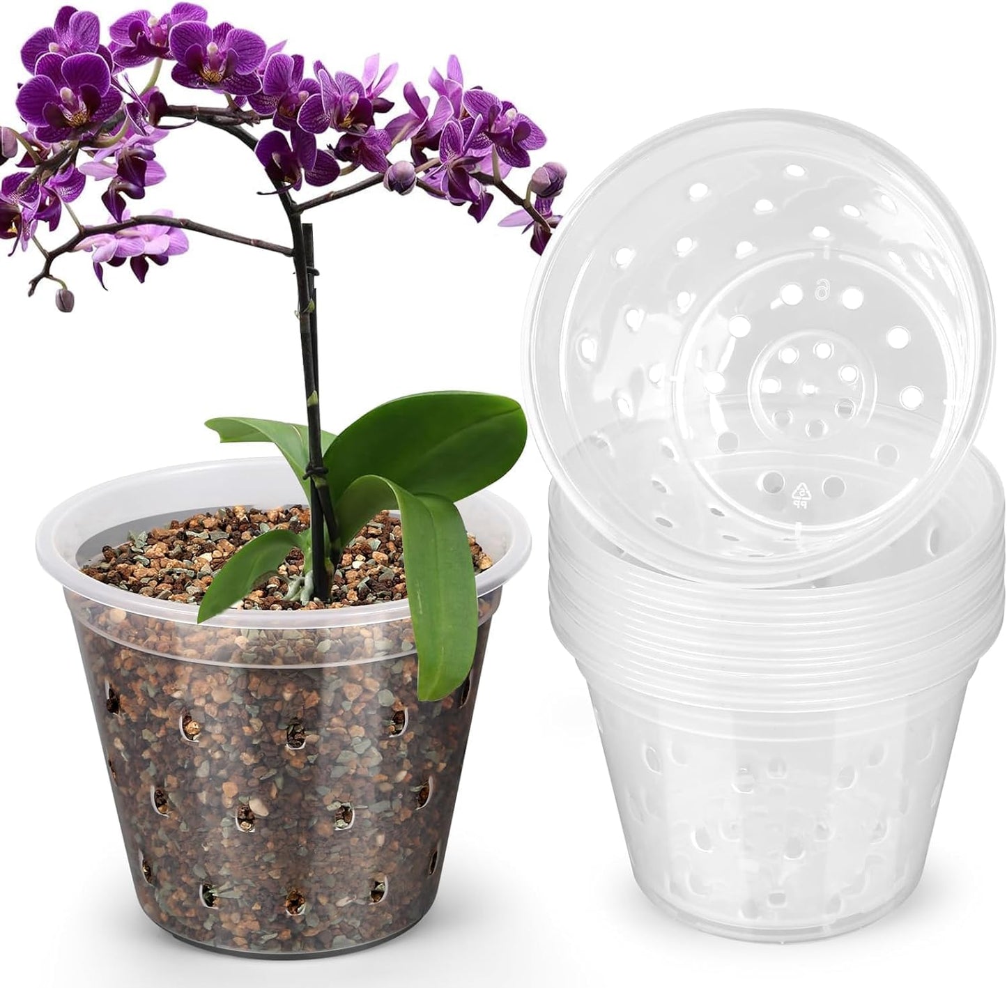 8 Macetas Orquídea 3pulg Plástico Transparente Ranuradas