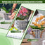 Maceta orquídea 4.3-6.1" transparente set 9