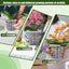 Maceta orquídea 4.3-6.1" transparente set 9