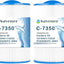 Filtro spa comp caldera 50 paq 2