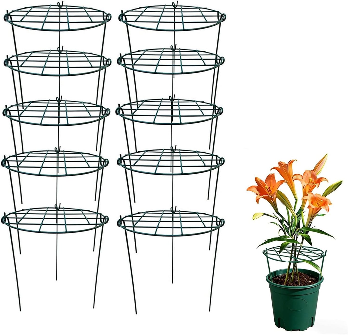 Soporte plantas 16x24pulg set 10 jaulas peonía anillos flores