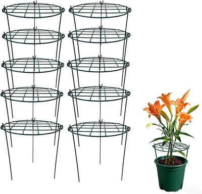 Soporte plantas 16x24pulg set 10 jaulas peonía anillos flores