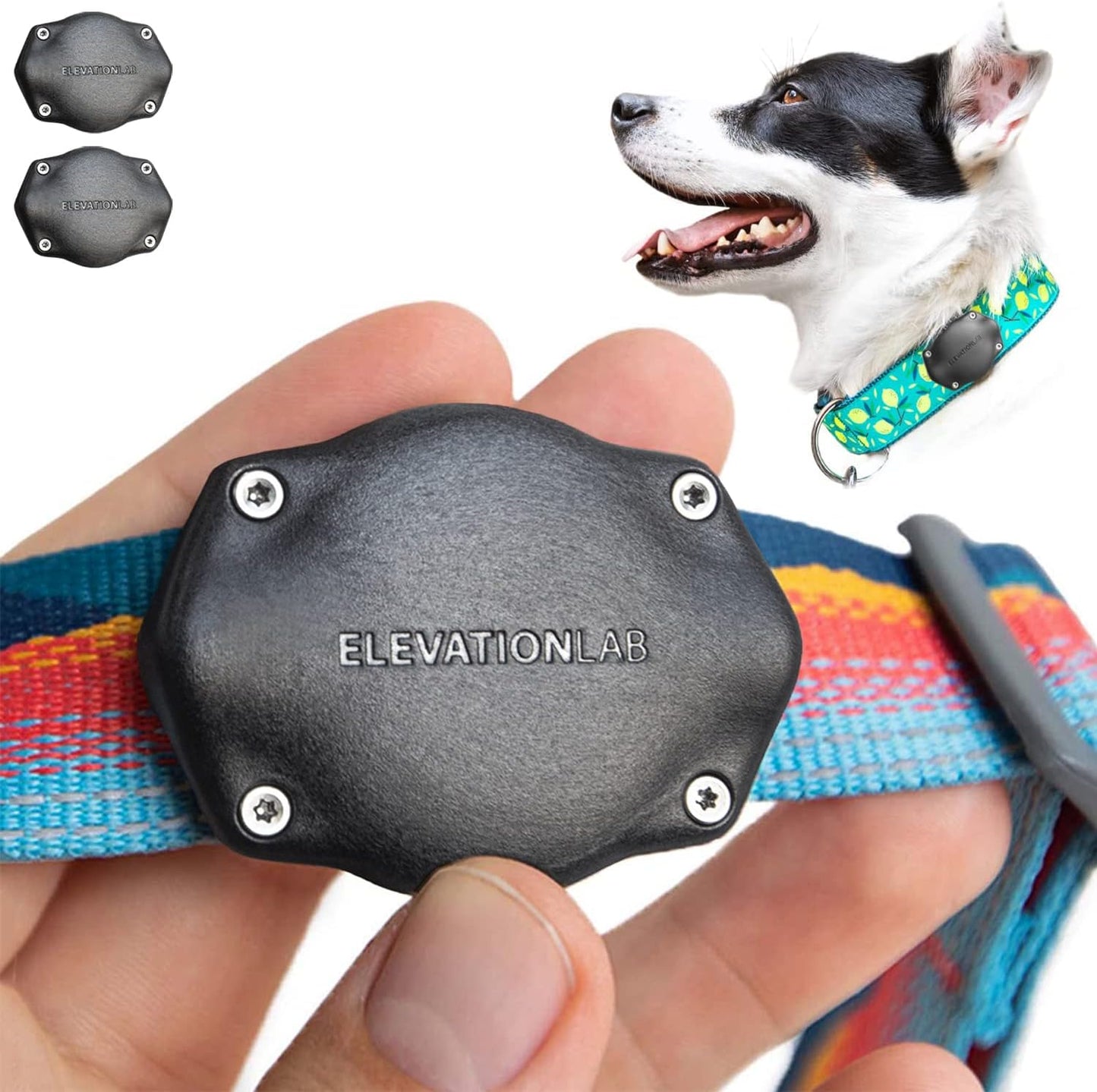 Soporte AirTag para collar perro impermeable set 2