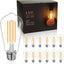 Bombilla LED Edison vintage 2700K 6W E26 12 Pzas