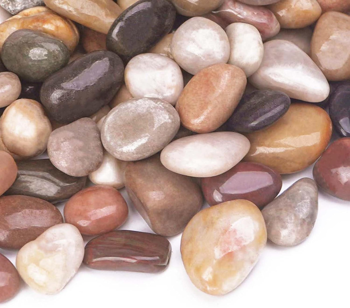 Rocas decorativas 10lb para macetas y jardín 1-1 1/2"