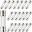Fusibles vidrio 1.6A 250V paquete 20
