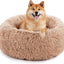 Cama ortopédica perro espuma viscoelástica 28x23pulg marrón