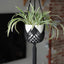 Macetero colgante macramé soporte plantas 8pulg interior