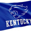 Bandera UK Wildcats 3x5ft 100% poliéster
