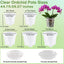 6 Pzas Macetas Plástico 4pulg Orquídeas con Drenaje