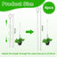 4 Cadenas Colgantes para Plantas Interiores y Cestas
