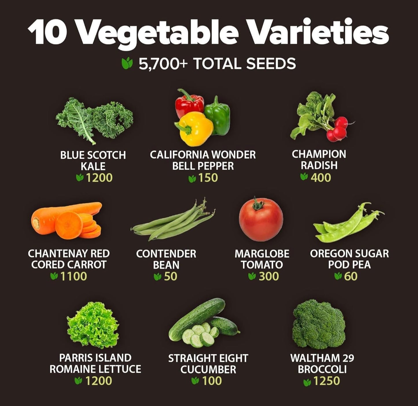 10 Semillas Heirloom para Huerto y Jardín Sin OMG