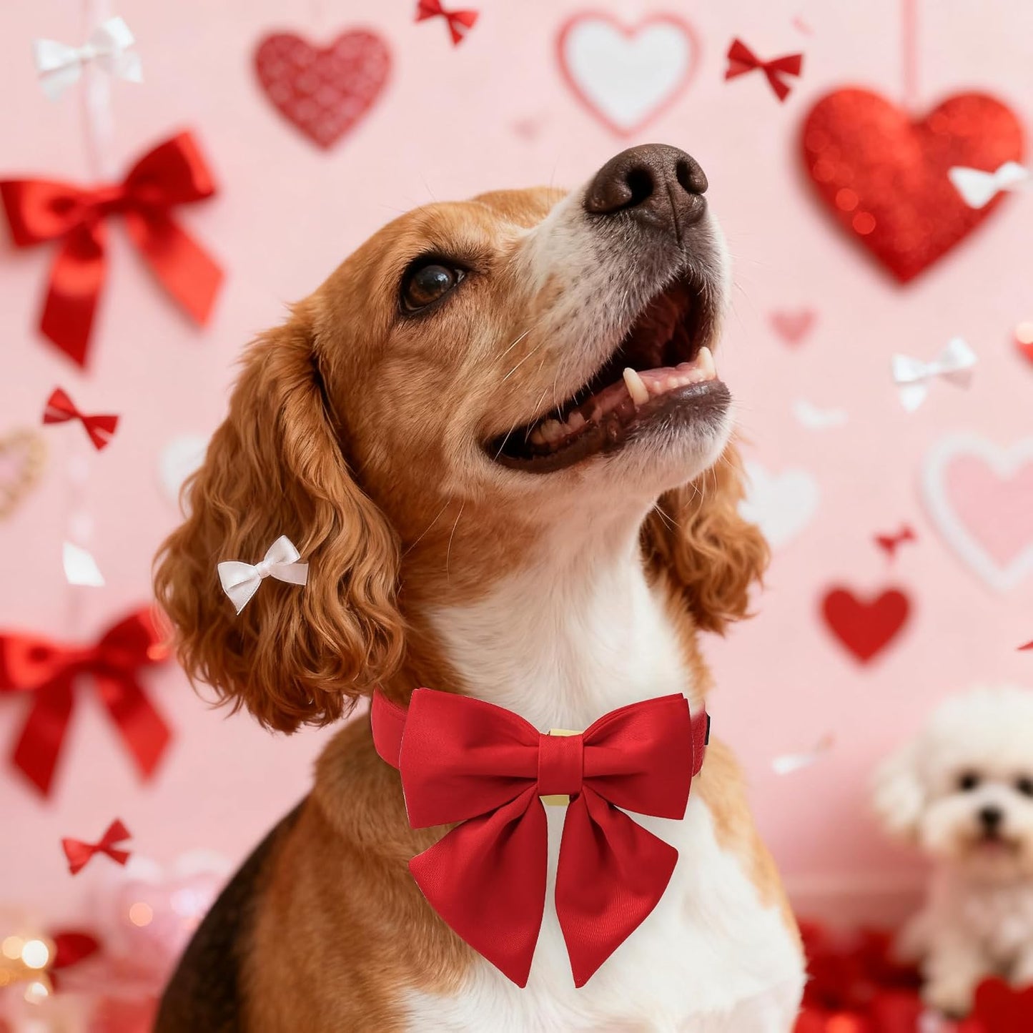 Collar rojo para perros pequeños con lazo marino ajustable