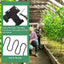 Corbata reutiliz. para plantas 65pies alambre negro