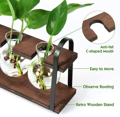 Soporte propagación plantas madera jarrón terrario