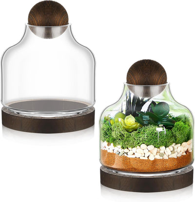 2 Terrarios Vidrio Base Madera Tapa Bola Decorativo 7pulg