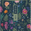 Funda neopreno aislada para lata 12oz primavera negra