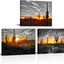 3 Paneles Lienzo Atardecer Saguaros Desierto Sonorano