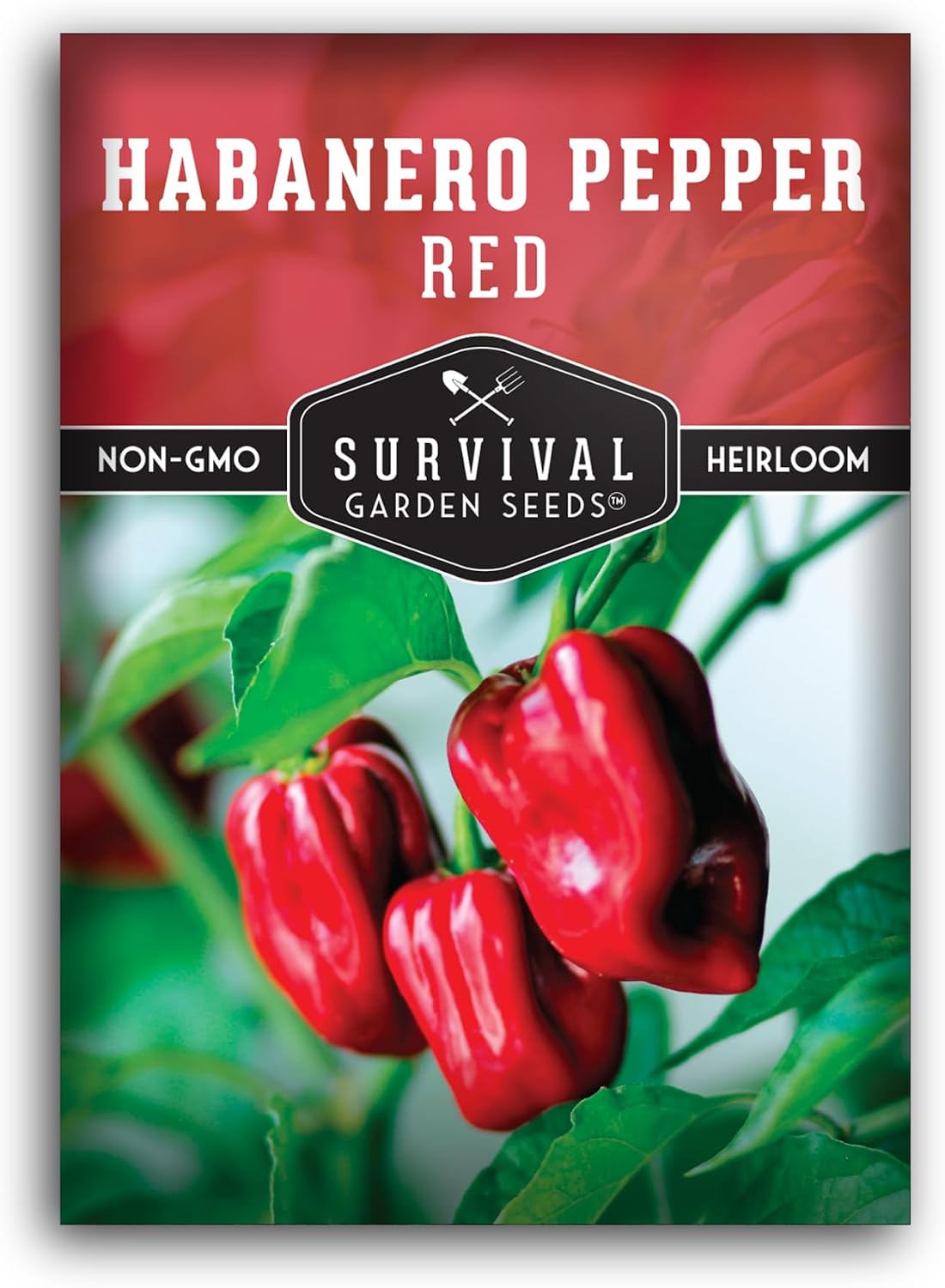 Semillas pimiento habanero rojo picante afrutado sin OMG