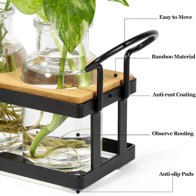 Soporte metal terrario vidrio decoración hogar