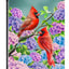 Banderas jardín 12x18pulg doble cara cardenal