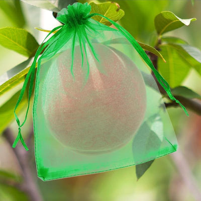 50 Bolsas Malla Protección Frutas 12x16pulg Con Cordón