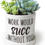 Macetas cerámica 4.3pulg cactus suculentas decoración