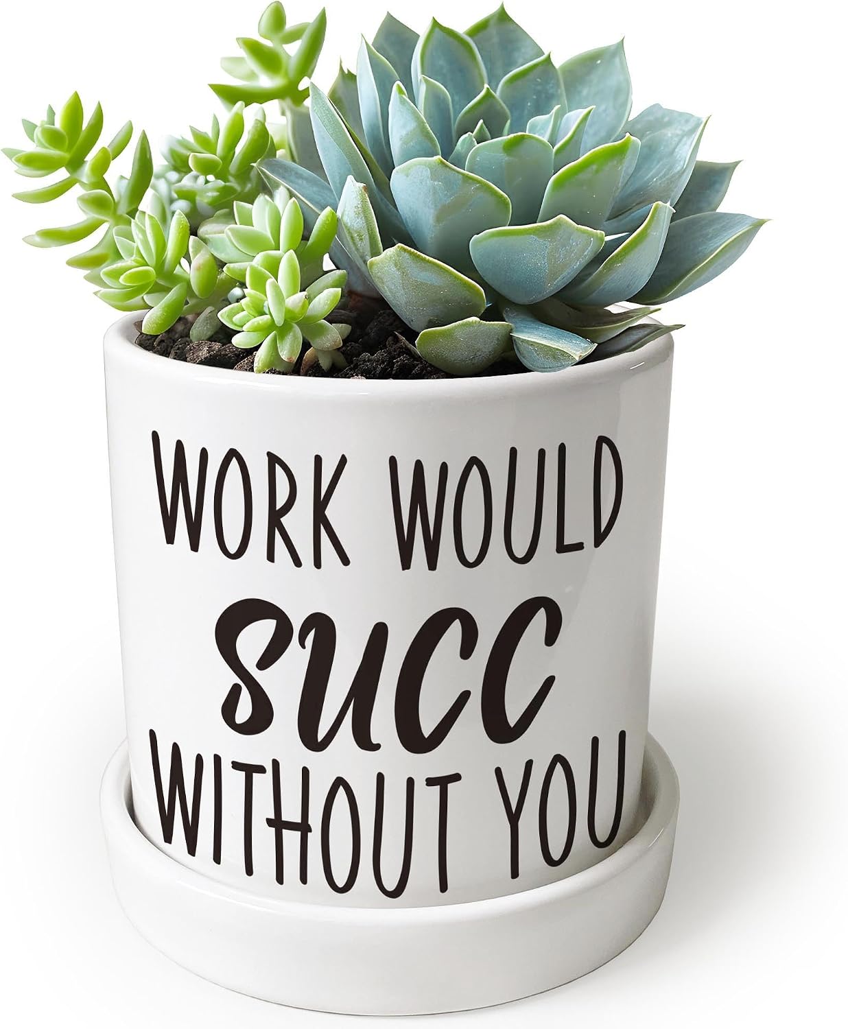 Macetas cerámica 4.3pulg cactus suculentas decoración