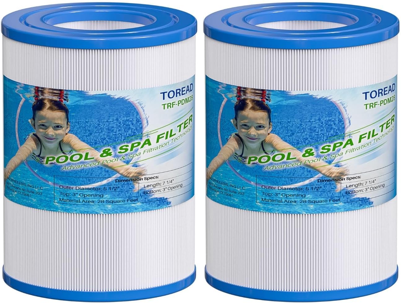 Filtro spa PDM28 reemplazo Aquarest pack 2