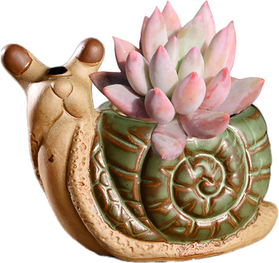 Maceta cerámica forma caracol decoración hogar multicolor