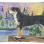Almohada decorativa lona lavable 12x16 para sofá cama patio
