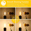 12 Pzas Bombillas LED E12 Regulables 2200K
