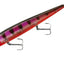 Señuelo Rogue Minnow Jerkbait Acción Errática